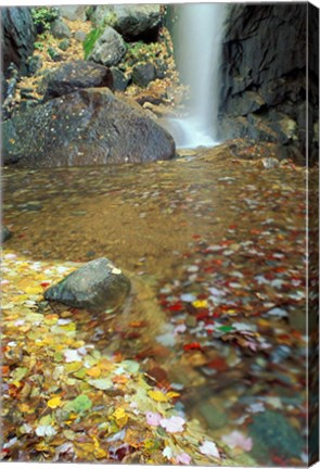 Framed Pitcher Falls in White Mountains, New Hampshire Print