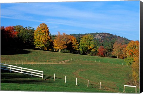 Framed Horse Farm in New England, New Hampshire Print
