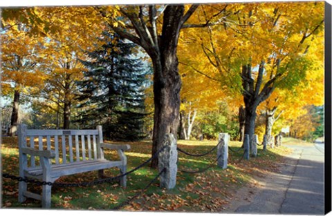 Framed Fall in New England, New Hampshire Print