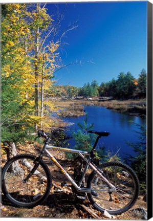 Framed Mountain Bike at Beaver Pond in Pawtuckaway State Park, New Hampshire Print