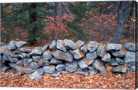 Framed Stone Wall next to Sheepboro Road, New Hampshire Print