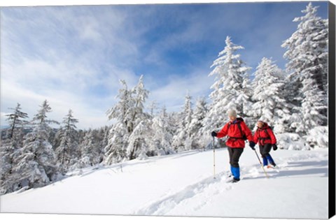 Framed Winter Hiking on Mount Cardigan, Clark Trail, Canaan, New Hampshire Print