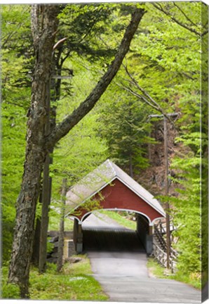 Framed Flume Covered Bridge, Pemigewasset River, Franconia Notch State Park, New Hampshire Print