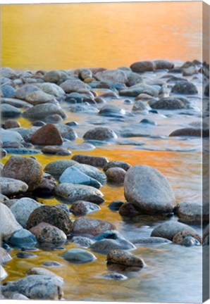 Framed Fall Reflections Among the Cobblestones in the Saco River, White Mountains, New Hampshire Print