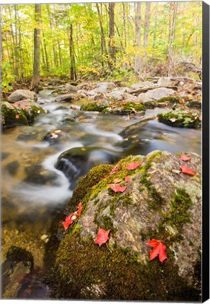 Framed Autumn stream, Grafton, New Hampshire Print