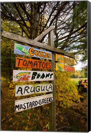 Framed Farm stand in Holderness, New Hampshire Print