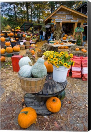 Framed farm stand in Holderness, New Hampshire Print