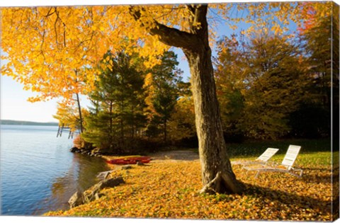 Framed Lodge, Lake Winnipesauke, New Hampshire Print