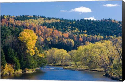 Framed Fall along the Connecticut River in Colebrook, New Hampshire Print