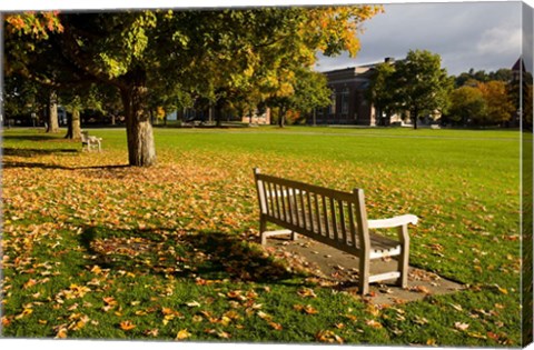 Framed Dartmouth College Green in Hanover, New Hampshire Print