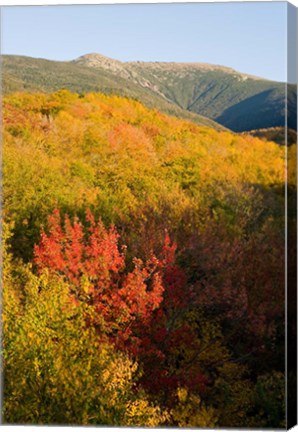 Framed Mount Lafayette in fall, White Mountain National Forest, New Hampshire Print