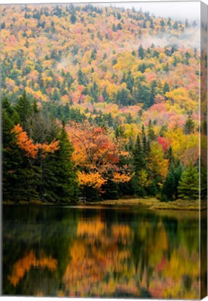 Framed Ammonoosuc Lake in fall, White Mountain National Forest, New Hampshire Print