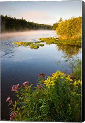 Framed Androscoggin River, Errol, New Hampshire Print