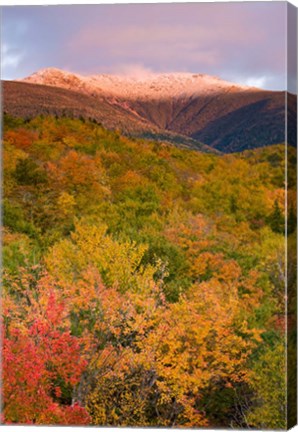 Framed Mt Lafayette in Autumn, New Hampshire Print