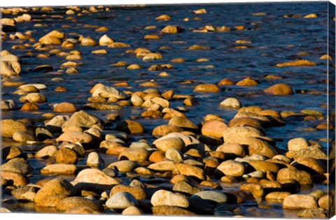 Framed Saco River, White Mountains, New Hampshire Print