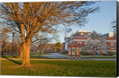 Framed Education, University of New Hampshire Print