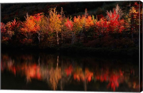 Framed Fall Foliage with Reflections, New Hampshire Print