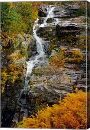 Framed Autumn at Silver Cascade, Crawford Notch SP, New Hampshire Print