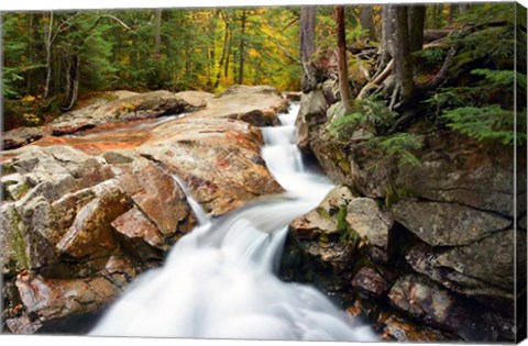 Framed Autumn on Pemigewasset River, Franconia Notch SP, New Hampshire Print