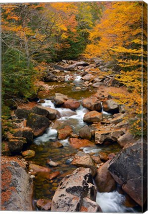 Framed Liberty Gorge, Franconia Notch State Park, New Hampshire Print