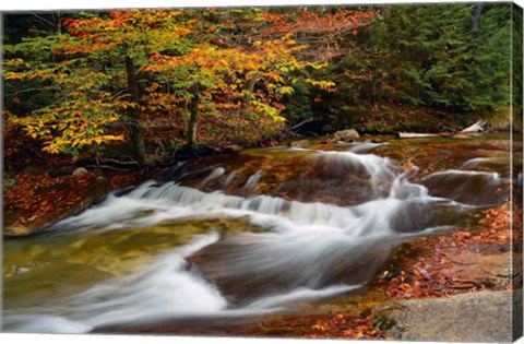 Framed Pemigewasset River, New Hampshire Print