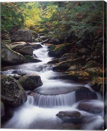 Framed Gordon Water Falls, Appalachia, White Mountains, New Hampshire Print