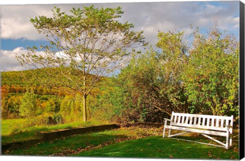 Framed New Hampshire, Sugar Hill, Bench Print