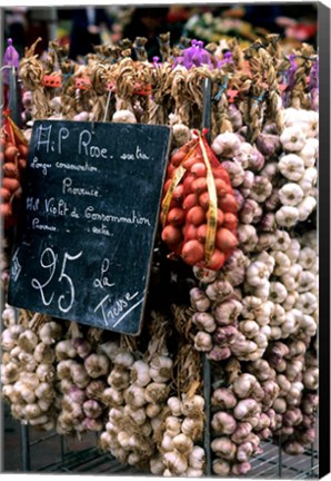 Framed Ropes of Garlic in Local Shop, Nice, France Print