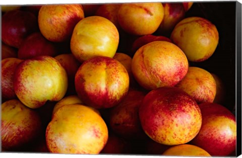 Framed Plums at an Outdoor Market, Nice, France Print