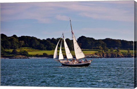 Framed Sailing in Newport, Rhode Island Print