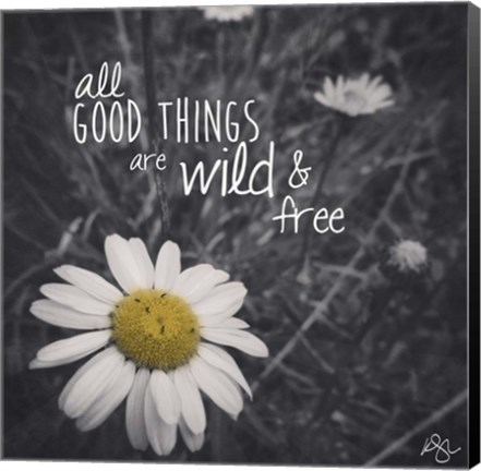 Framed Wild And Free 1 Print