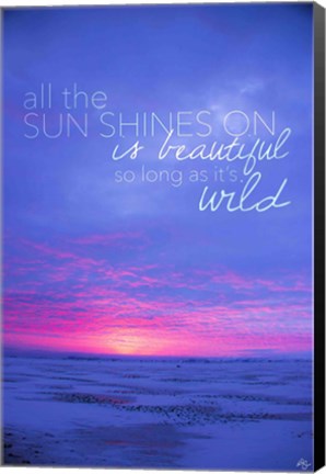 Framed All The Sun Shines On Print