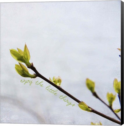 Framed Enjoy The Little Things Print