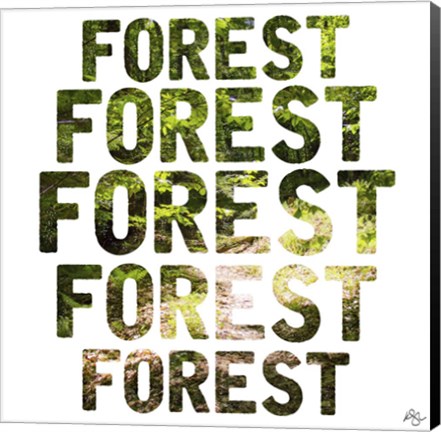 Framed Forest Repeat Print