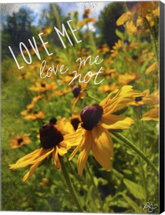 Framed Love Me Not Print