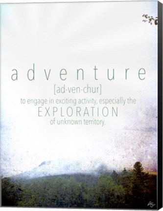Framed Adventure Definition Print