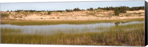 Framed Sand Dunes and Marsh, Michigan Print