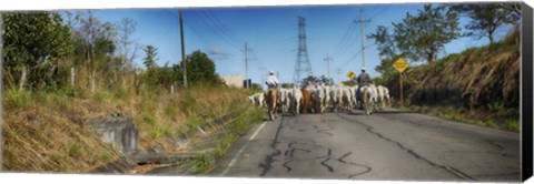 Framed Men with Horses on Road, Costa Rica Print