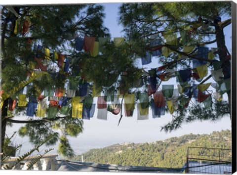 Framed Prayer Flags, Upper Dharamsala, Himachal Pradesh, India Print