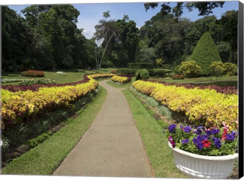 Framed Royal Botanical Gardens, Peradeniya, Sri Lanka Print