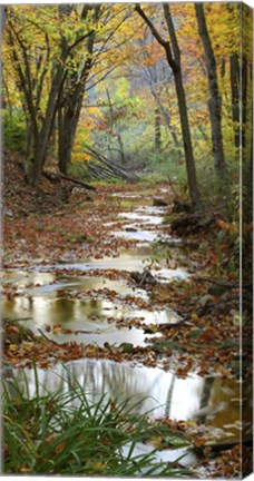 Framed Autumn at Schuster Hollow in Grant County, Wisconsin Print