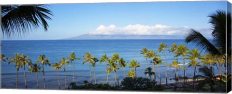 Framed Palm Trees on the Beach, Maui, Hawaii Print