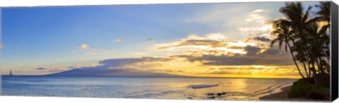 Framed Palm Trees at Dusk, Maui, Hawaii Print