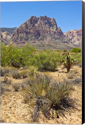Framed Red Rock Canyon National Conservation Area, Las Vegas, Nevada Print