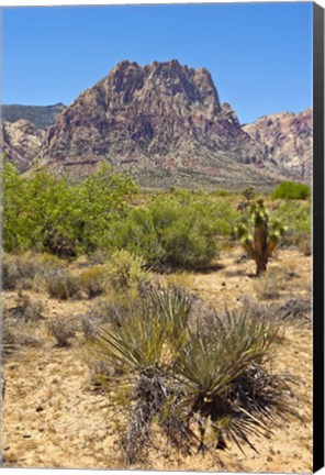 Framed Red Rock Canyon National Conservation Area, Las Vegas, Nevada Print