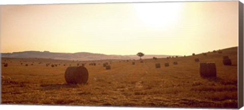 Framed Hay Bales, Tuscany, Italy Print