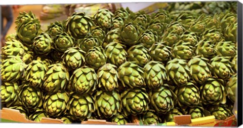 Framed Artichokes, Colts Neck Township, NJ Print