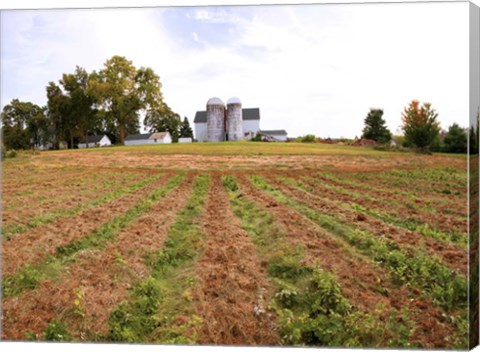 Framed Barn and Silo, Colts Neck Township, New Jersey Print