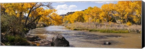 Framed Rio Grande River, Pilar, New Mexico Print