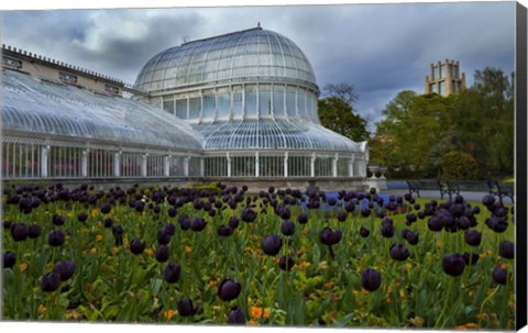 Framed Palm House in the Botanic Gardens, Northern Ireland Print